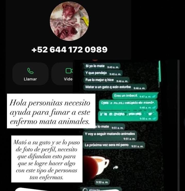 Denuncian en redes un caso de presunta crueldad animal que se ha viralizado en Latinoamérica