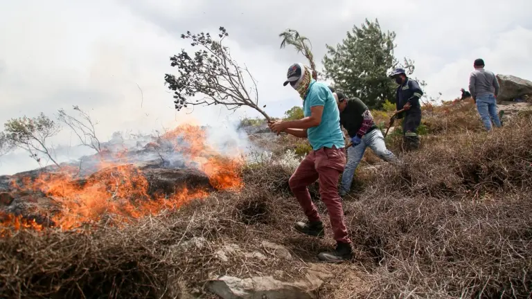 Más de 300 municipios de Colombia están en alerta por riesgo de incendios de cobertura vegetal