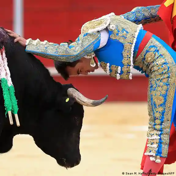 Proponen modificar algunos elementos de las corridas para reducir el sufrimiento del toro