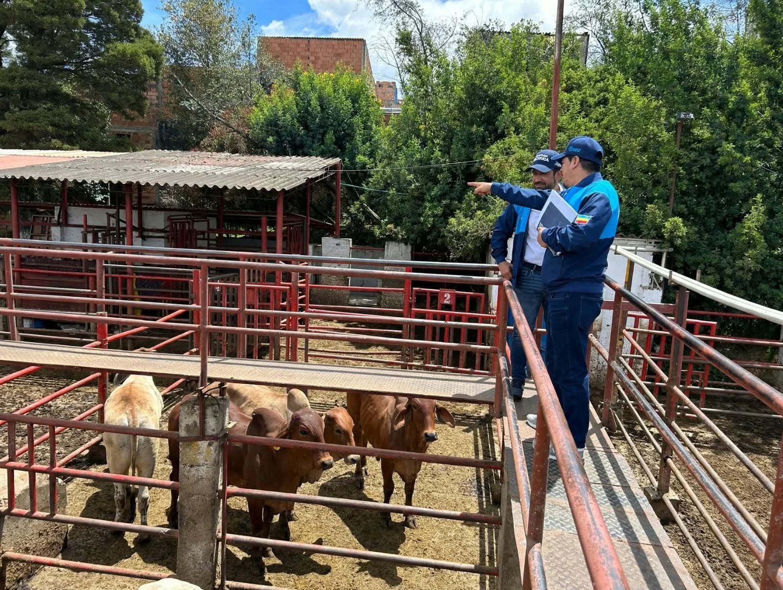 Cundinamarca implementa cámaras en plantas de faenamiento y refuerza controles para evitar la evasión del impuesto de degüello
